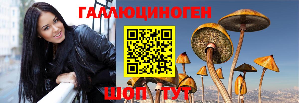 Галлюциногенные грибы ЛСД  Псилоцибиновые грибы ЛСД  Вход с VPN  Мариинск 